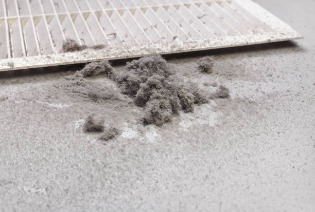 Best Air Duct Cleaning Near Me  in Dorothy, NJ